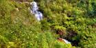 Fainter Falls - VIC T (PBH3 00 34414)